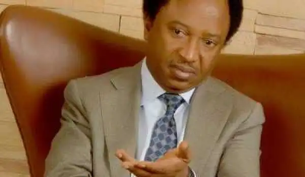 Nigeria Governors feast on ecological funds – Senator Sani